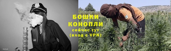 ПСИЛОЦИБИНОВЫЕ ГРИБЫ Абдулино
